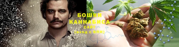 гидра Алексин