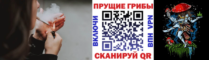 Псилоцибиновые грибы Psilocybine cubensis  гидра ТОР  Неман 